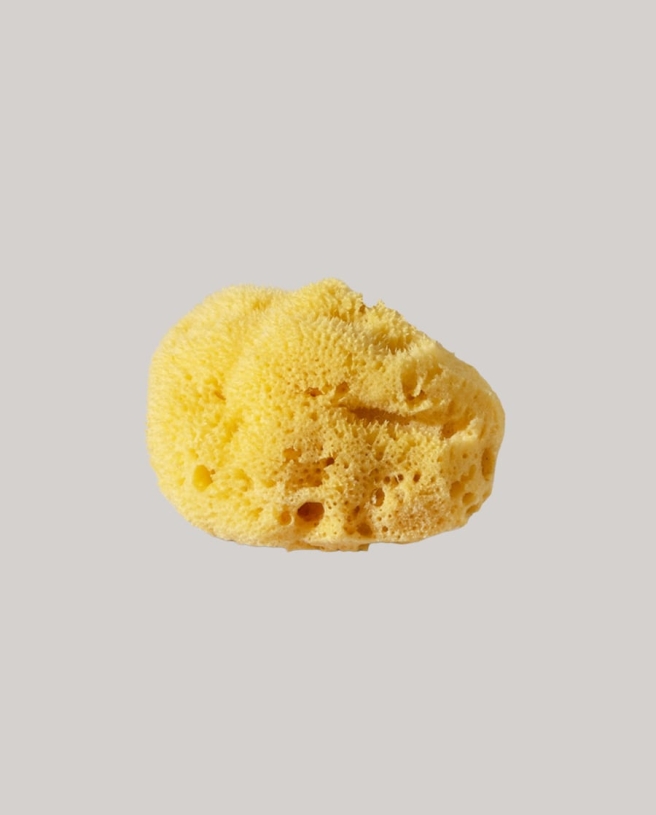 Natural sea sponge (8cm / 3.15″)