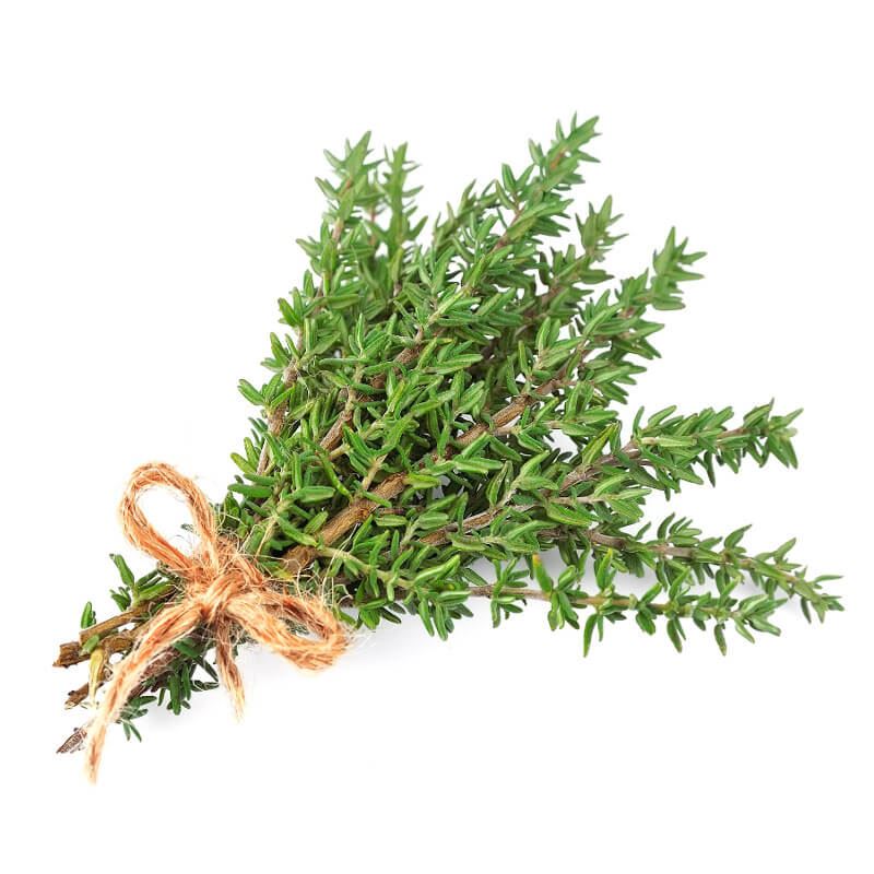 Thyme