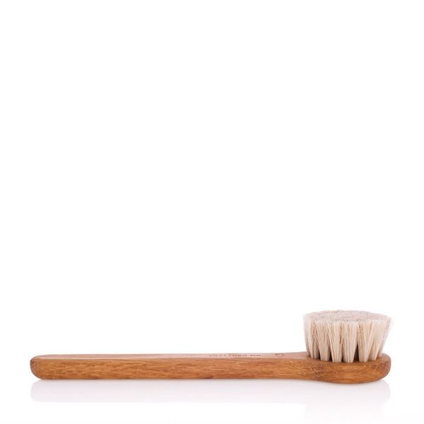 Picture of BATH BRUSH (WITH LONG HANDLE)