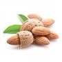 Sweet almond oil